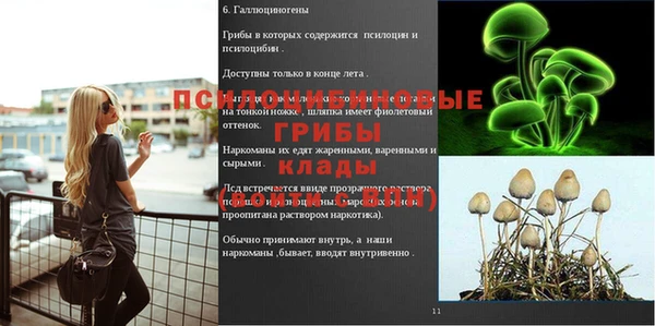 PSILOCYBIN Алексин