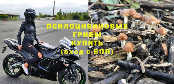 винт Алексеевка