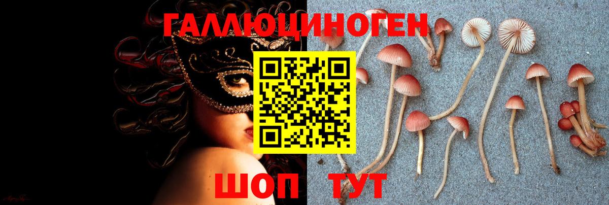 Галлюциногенные грибы MAGIC MUSHROOMS Богородск